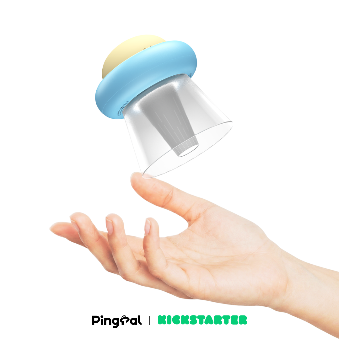 PingPal Deposit